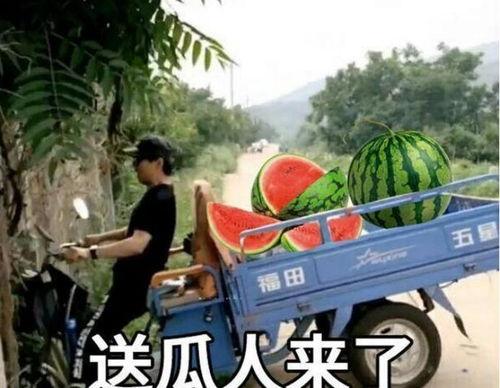 娱乐新闻 第4页